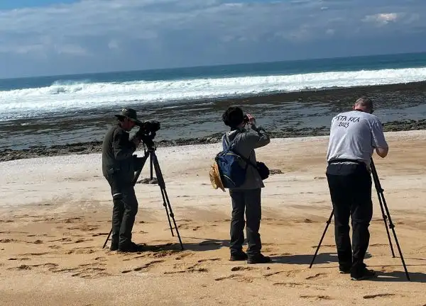Birding Morocco guided birdwatching tours across Morocco’s diverse natural habitats