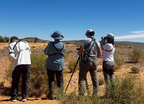 Birding tour from Marrakech exploring Morocco’s natural landscapes and birdwatching spots