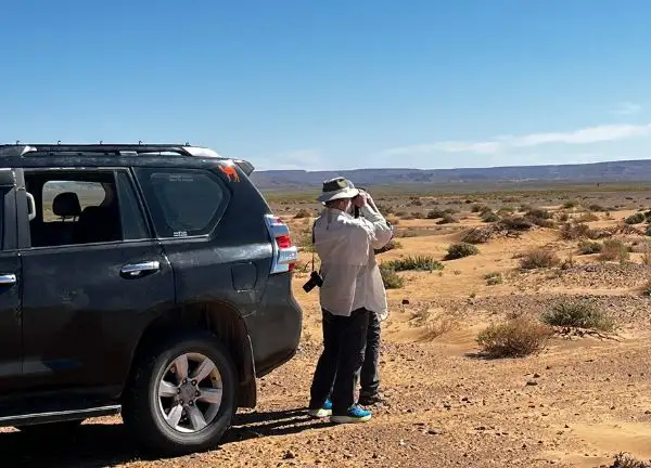 Morocco birding tours exploring wetlands mountains deserts and diverse bird species
